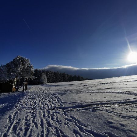 Berghaus Am Felsbruch Oberwiesenthal Ot Hammerunterwiesenthal Экстерьер фото