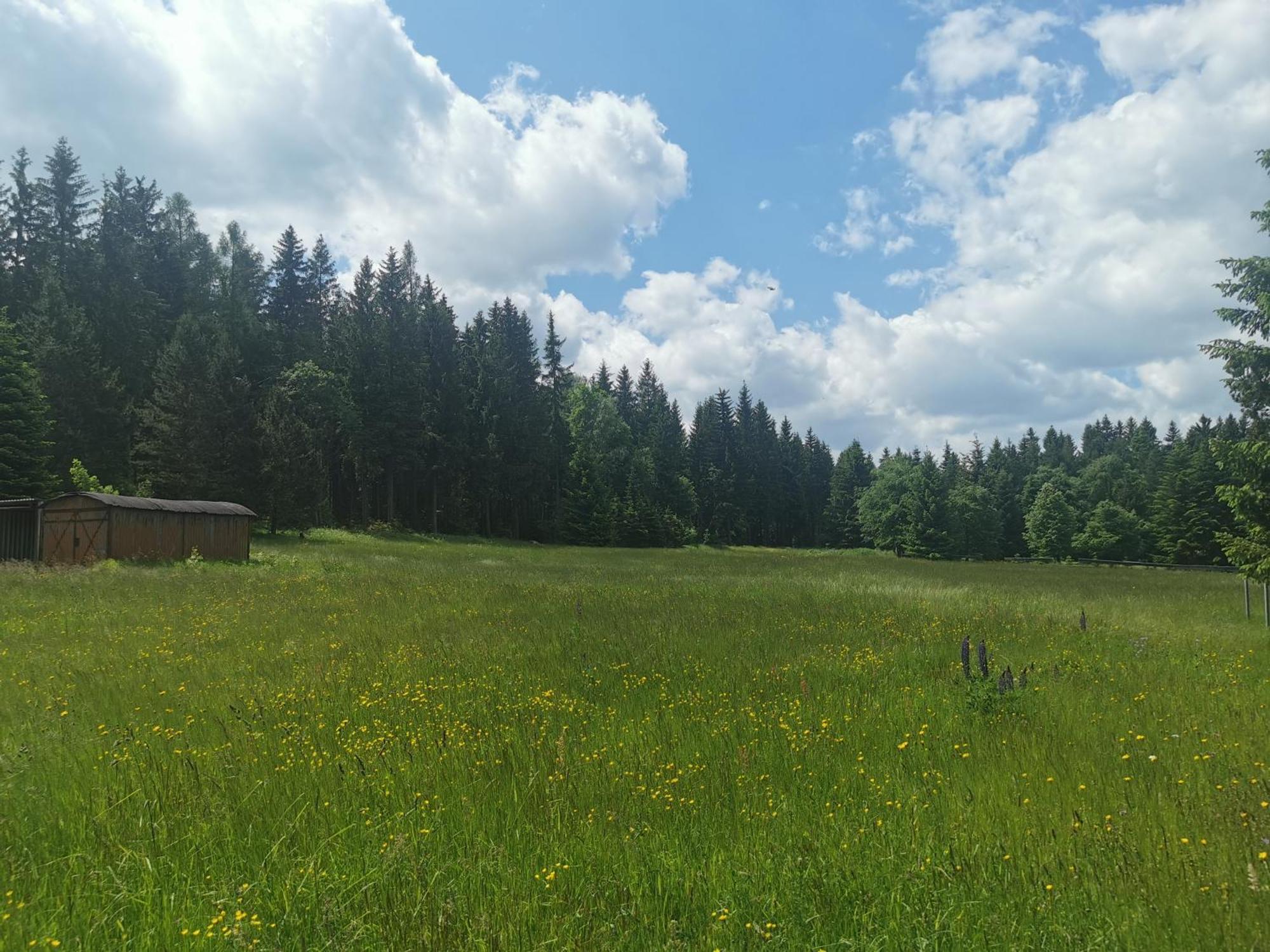 Berghaus Am Felsbruch Oberwiesenthal Ot Hammerunterwiesenthal Экстерьер фото