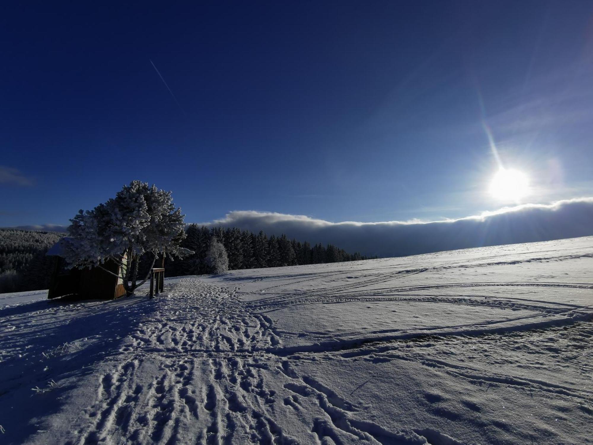 Berghaus Am Felsbruch Oberwiesenthal Ot Hammerunterwiesenthal Экстерьер фото